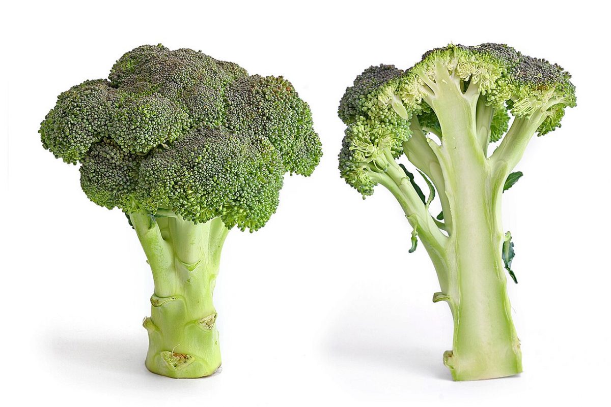 Brocoli